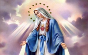 IMMACOLATA-CONCEZIONE-COP